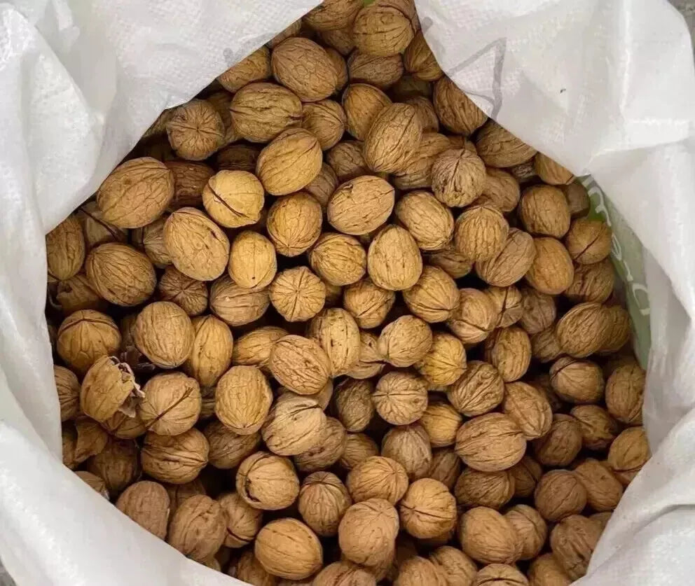 Whole Walnuts in Shell – Premium Grade | Fresh, Natural & Crunchy | Perfect for Snacking & Holiday Display – 1-25kg Bulk