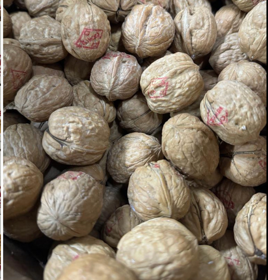 California Walnuts In-Shell (Jumbo Size 36+) - 25kg box | USA Grown| Best for Human & Wildlife Feed