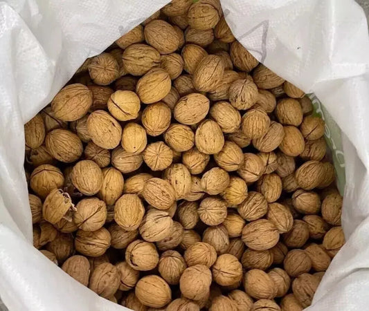 Chilean Extra Light Walnuts in Shell – 25kg bulk bag | Premium Quality, Fresh & Natural | Ideal for Wholesale, Snacking & Gifting