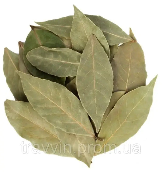 Premium Dried Bay Leaves (Laurel Leaves) – Whole Aromatic Leaves