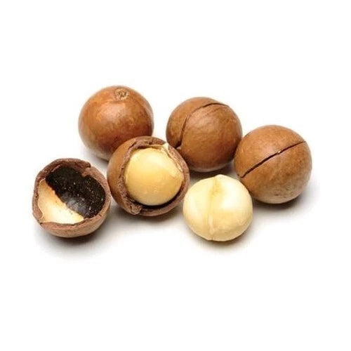 Macadamia Nuts in Shell 500g-10kg – Premium Whole Natural Nuts | Raw, Non-GMO, Unsalted | Rich in Healthy Fats & Nutrients