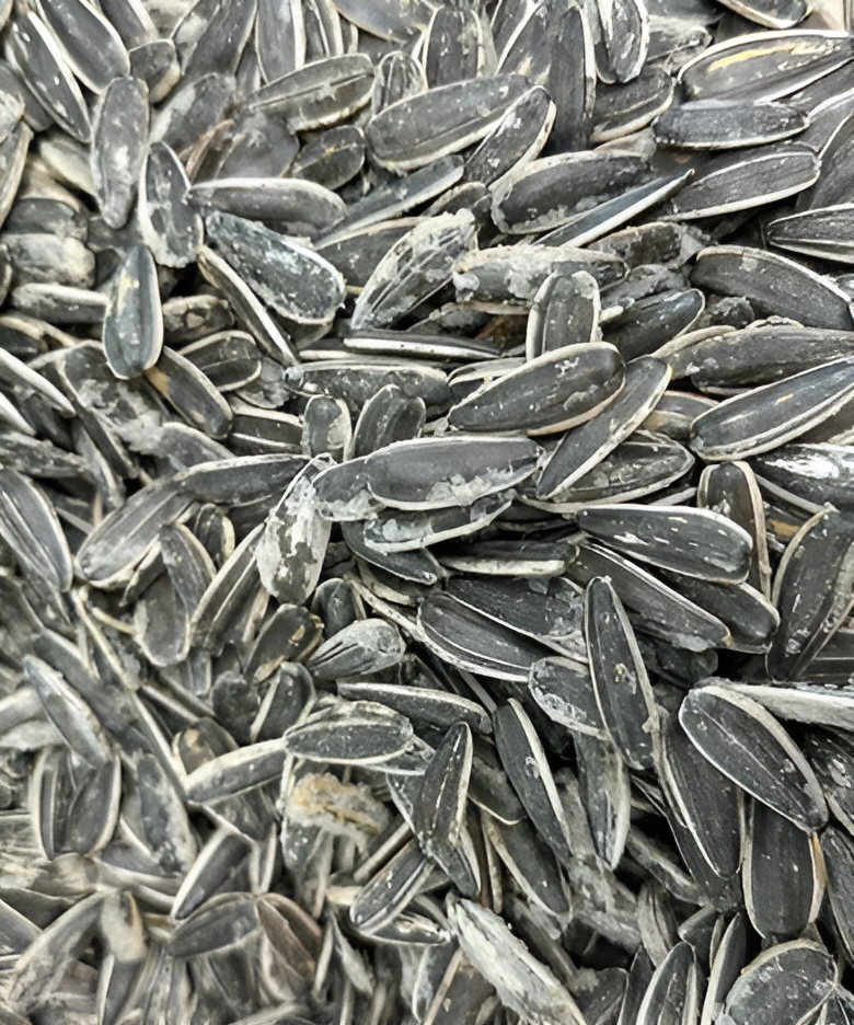 Roasted Salted Sunflower Seeds in Shell | Crunchy Snack | Premium Quality | Natural Source of Energy & Protein | 250g – 6kg